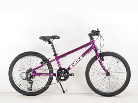 אופני
  ילדים Evoke SL-20-8 YS-9019 Purple